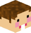 FNC_BOSS - head