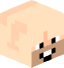 Kiermus - head